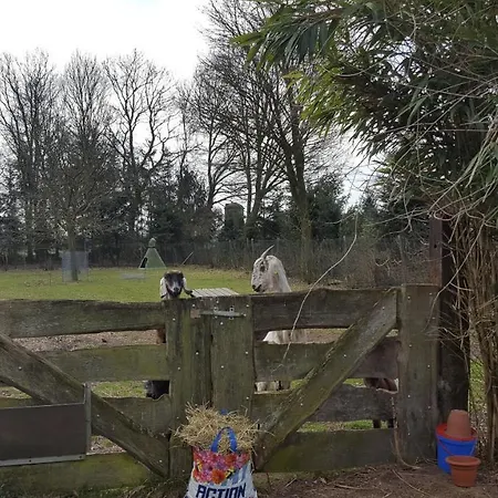 Het Achterhuis * Siebengewald