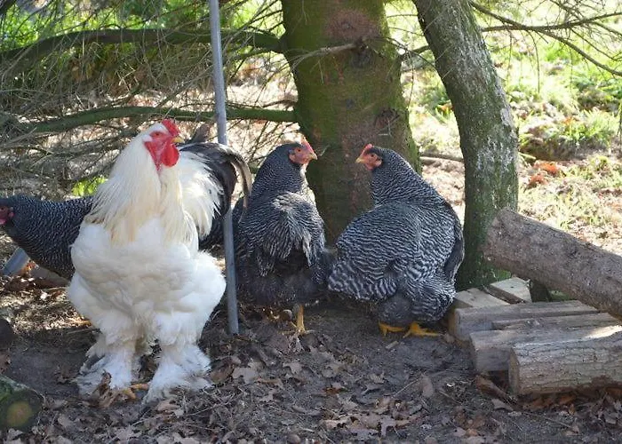 Apartamento Het Achterhuis Siebengewald