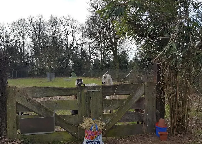 Het Achterhuis * Siebengewald