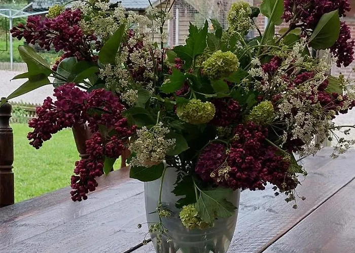 Het Achterhuis شقة Siebengewald