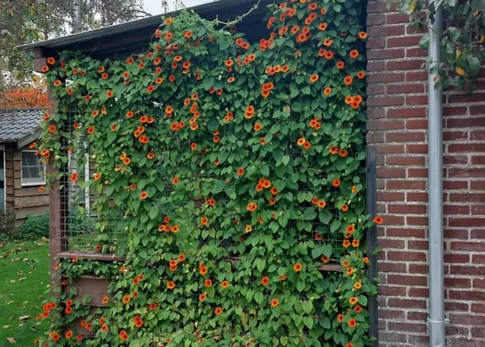 Het Achterhuis Siebengewald