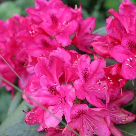 Lägenhet Het Achterhuis