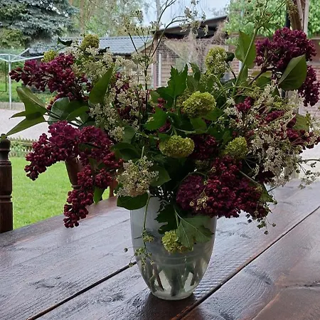 Het Achterhuis Lägenhet Siebengewald