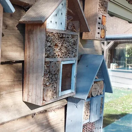 Het Achterhuis Siebengewald