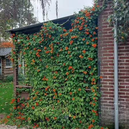 Het Achterhuis Siebengewald