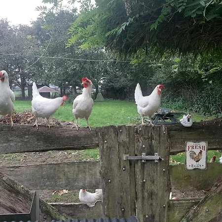 Lägenhet Het Achterhuis Siebengewald