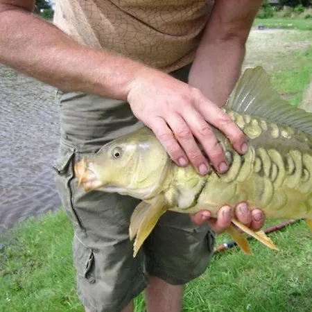 Lägenhet Het Achterhuis *