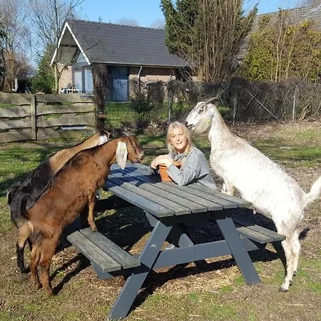 Lägenhet Het Achterhuis
