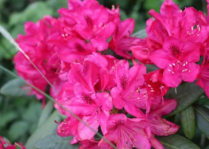 아파트 Het Achterhuis