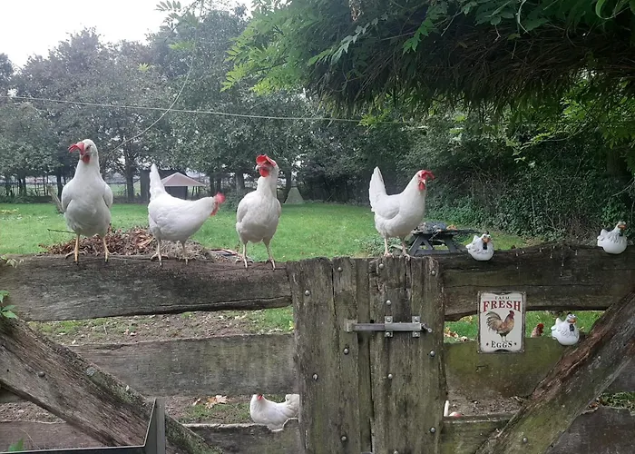 아파트 Het Achterhuis Siebengewald