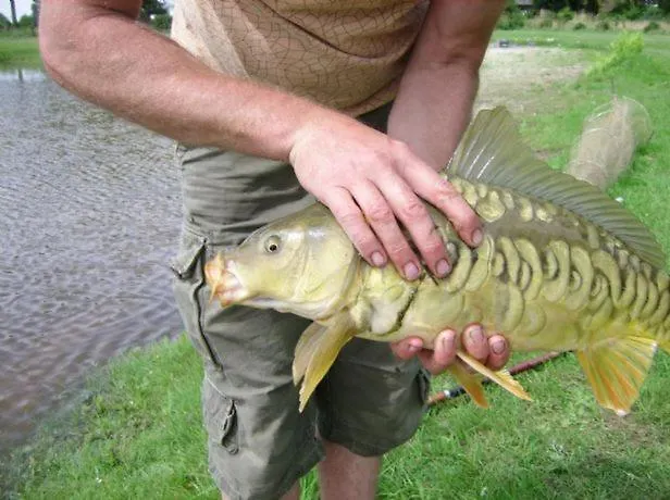 아파트 Het Achterhuis *